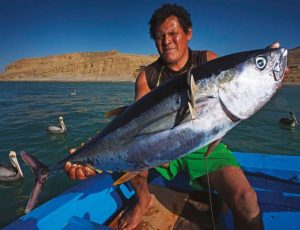 pesca pesca