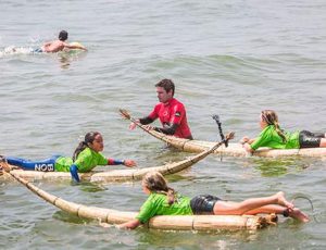 totora totora
